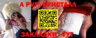 индика Нальчик